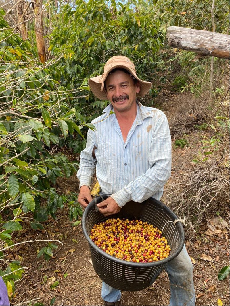 ALL ABOUT COSTA RICA – Fernando Cordero for Espresso